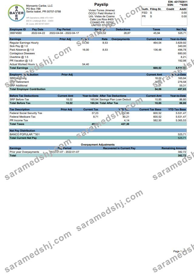 BAYER Paystub 2022
